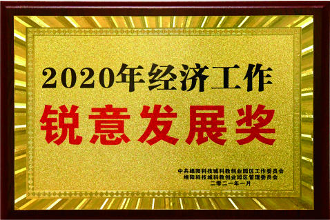 2020经济锐意生长